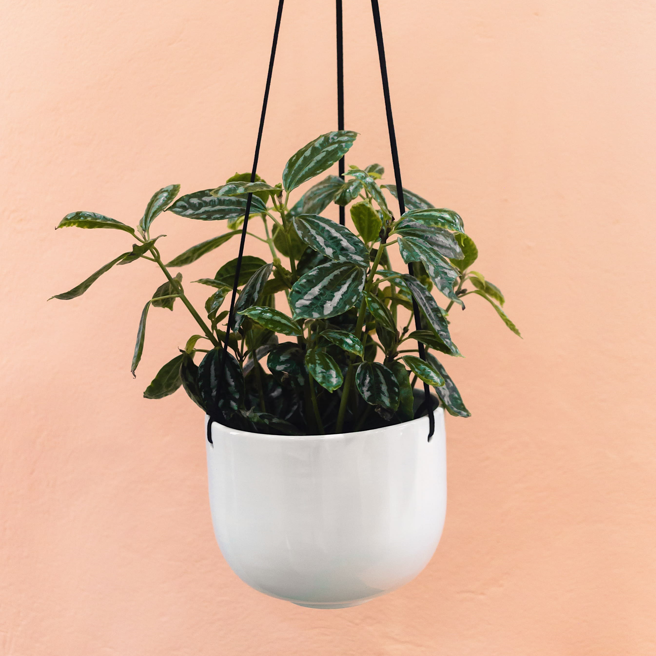 Matera Pasca Colgante